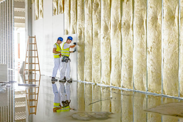 Best Commercial Insulation in Chaparral, NM